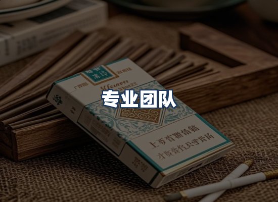 专业团队